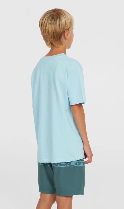 Produktbild O'Neill Cali Stripe 14" Swimshorts (164)