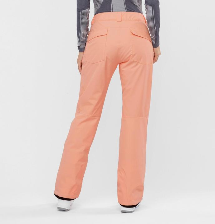 Actual product image Salomon Edge Pant W (XL)