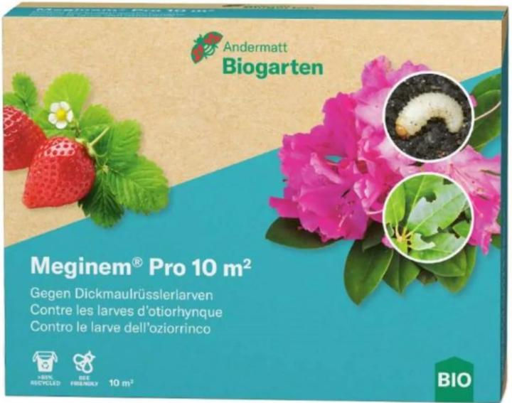 Andermatt Biogarten Meginem Pro-Nematoden gegen Dickmaulrüssler-Larven, 10qm (1 Stk)