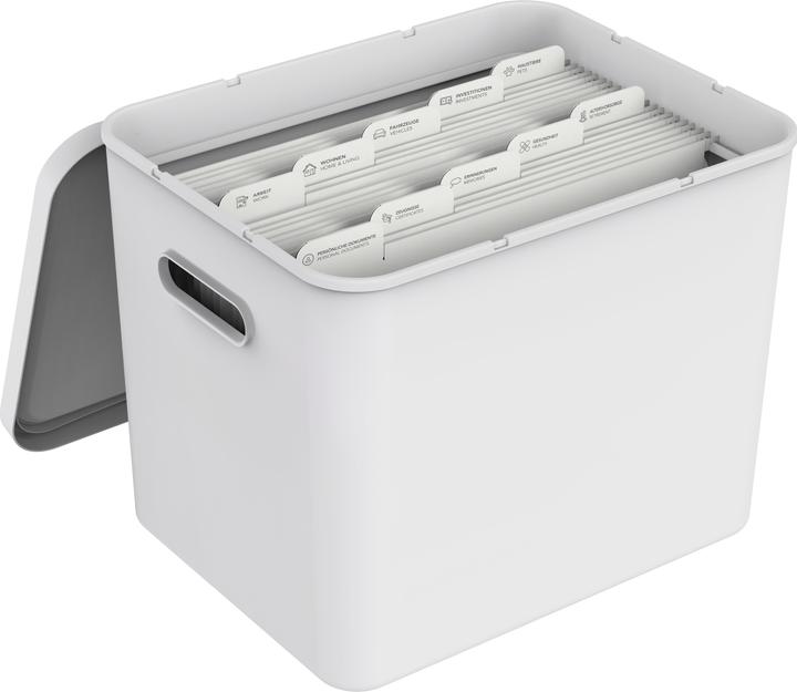 Produktbild Rotho Archivbox My Paper Basic (A4)