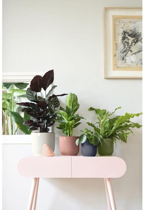 Produktbild Elho Vibes fold (18 x 17 cm)