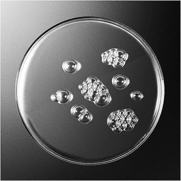 Actual product image Sisley Sisleÿum Lotion Tonique Revitalisante (Aftershave Lotion, 150 ml)