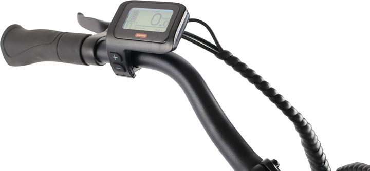 Actual product image Sharp Urbanes E-Bike BK-ED05E-W (51 cm)