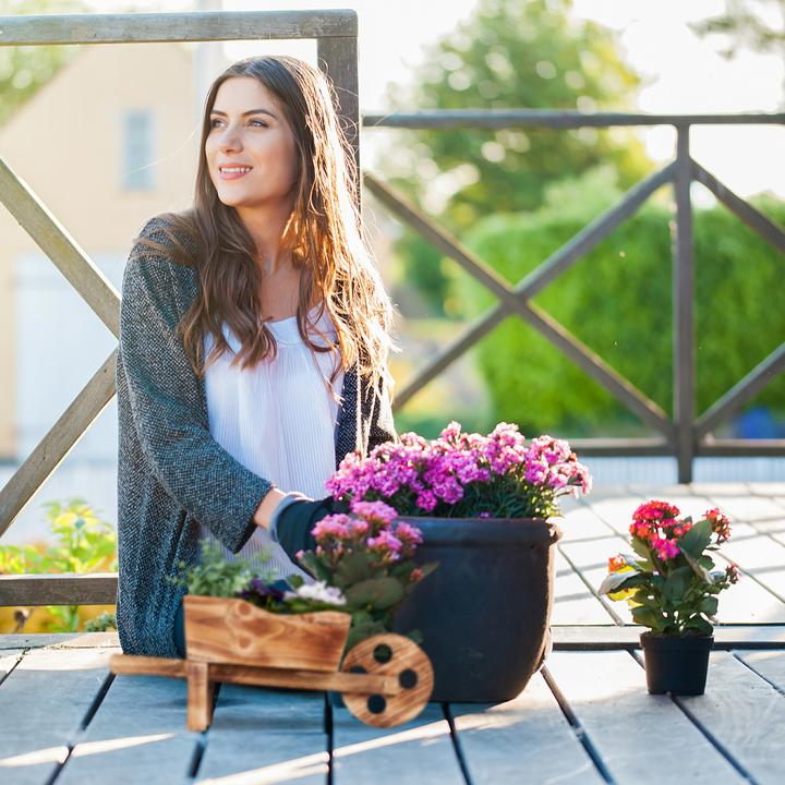 Produktbild Relaxdays Pflanzschubkarre (47 cm)