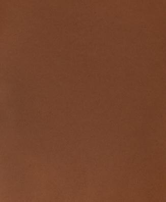 Produktbild Fotokarton 50X70 Mittelbraun (270 g/m², 1x)