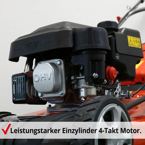 Image du produit Hecht 546 (Essence)