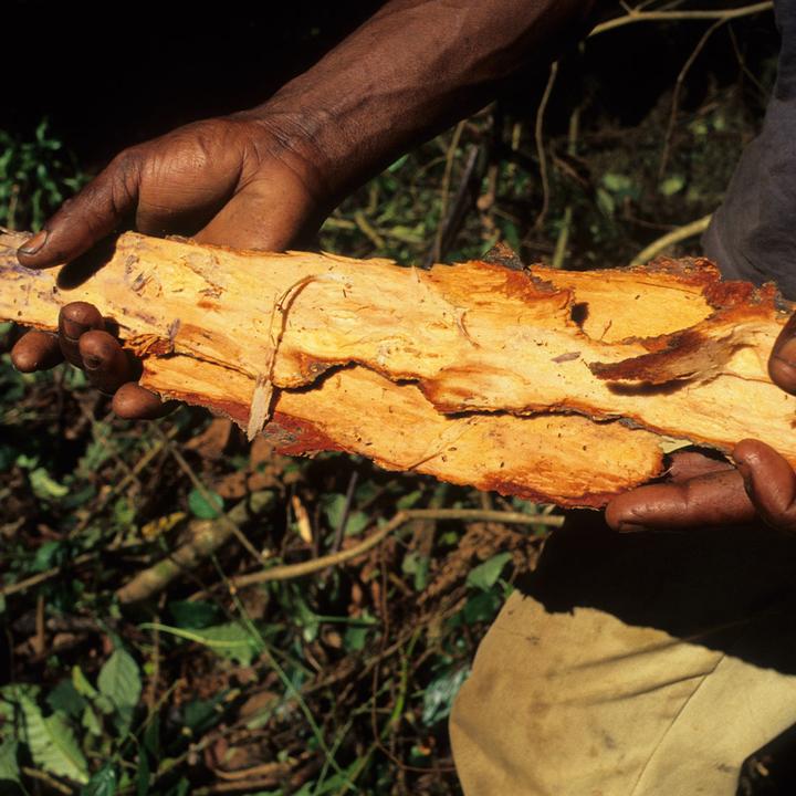 Actual product image Sekoya Prostenol (90 Piece, Capsules)