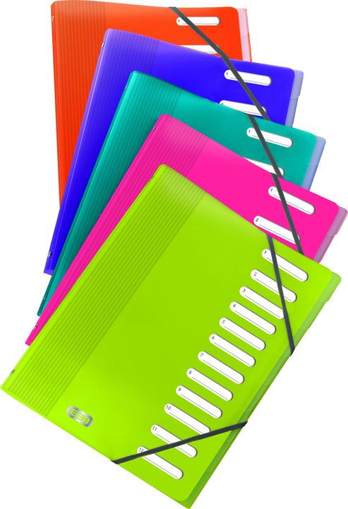Image du produit Elba Classeur " School Life", 12 compartiments, DIN A4, PP intercalaires transparents, élastiques d'angle (A4, 1x)