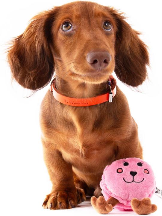 Produktbild Martin Macaron Plüsch (Plüschspielzeug Hund)