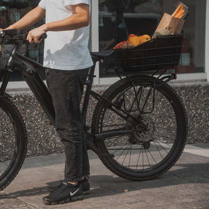 Actual product image Topeak Urban Basket DX (22 l)