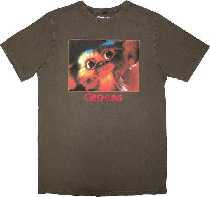 Produktbild Gremlins Gizmo Photo Wash (S)