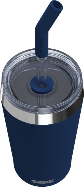 Actual product image Sigg Helia (0.60 l)