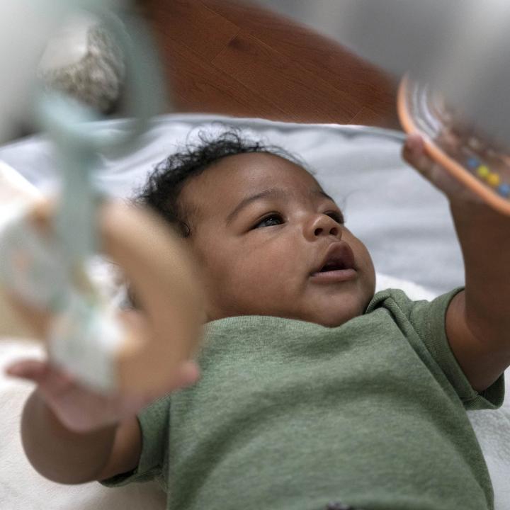 Produktbild Ingenuity Sheppy's Spot