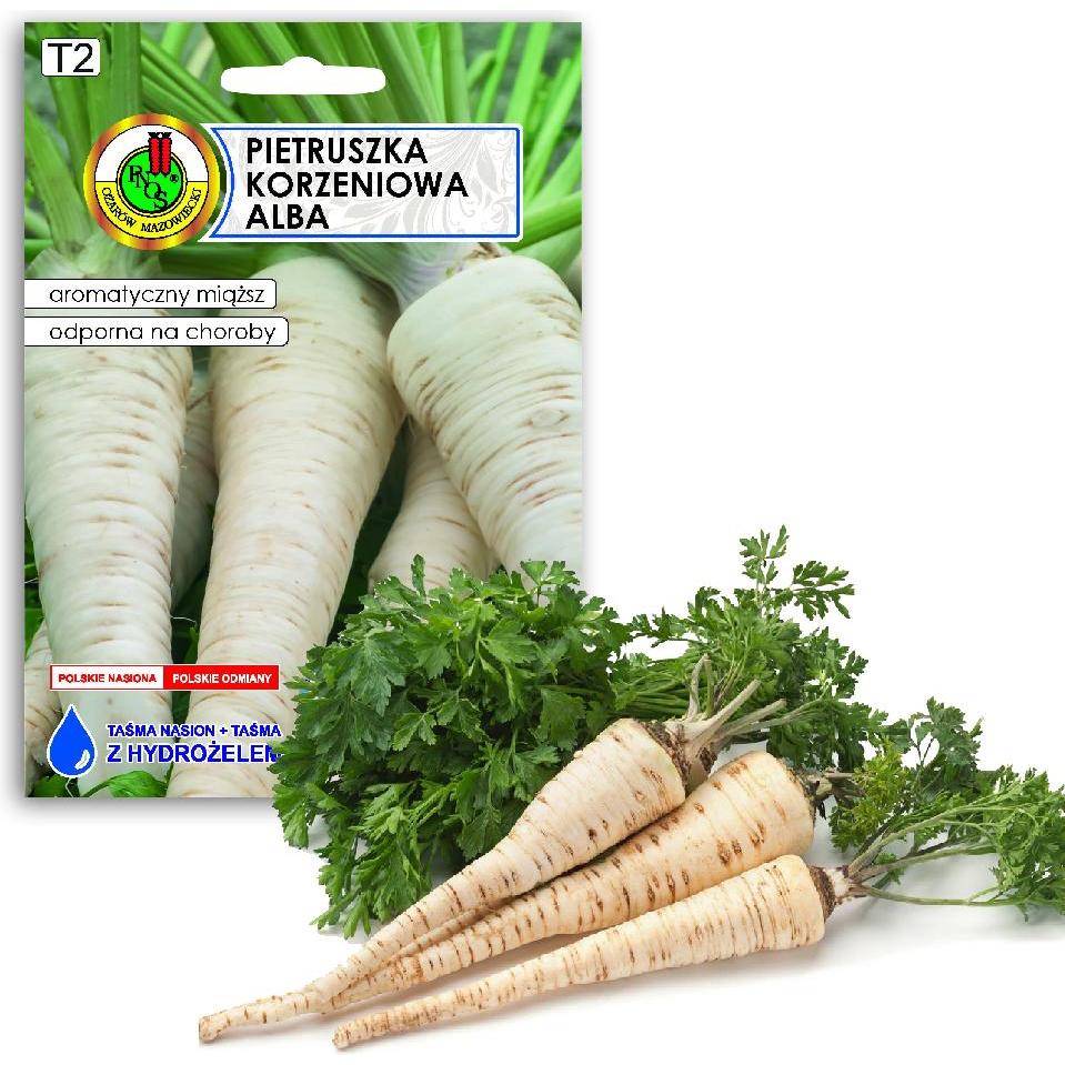 Apte, Semi, PNOS Samen auf Band Wurzelpetersilie Alba 6m Band (Semi di verdura)