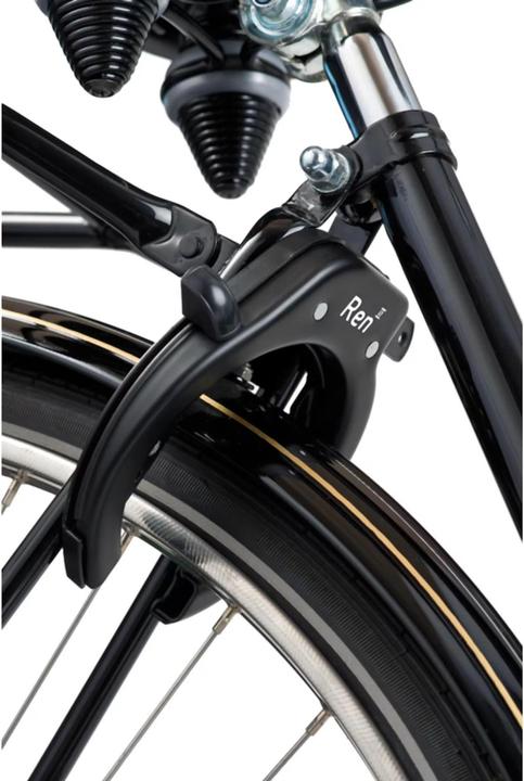 Produktbild AXA Ren II