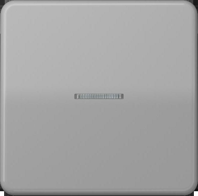 JUNG BTCD17101GR HOME Push-button 1gang