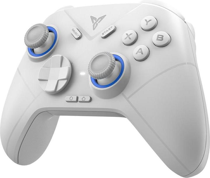 Actual product image Flydigi Direwolf 2