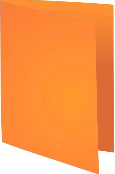 Immagine prodotto Exacompta Scrapbook - Copertine di file (A4, 100x)