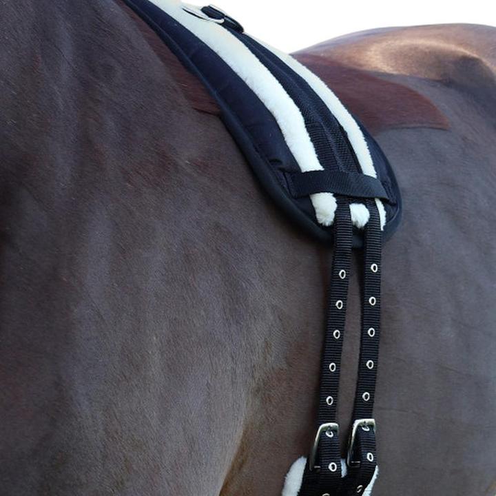 Actual product image Hy Roller Horse Lunge Pad