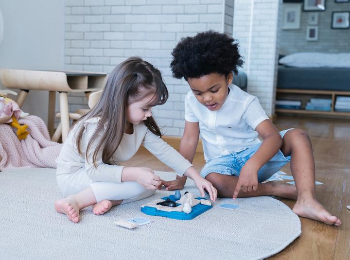 Produktbild Plantoys Spiel Finde den Pinguin