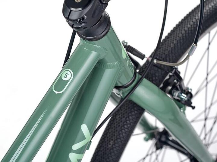 Image du produit Academy 24" Grade 5 Belt olive (24")