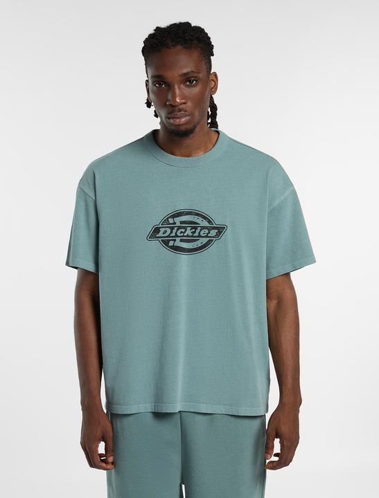 Produktbild Dickies Plainville Ss Tee (M)