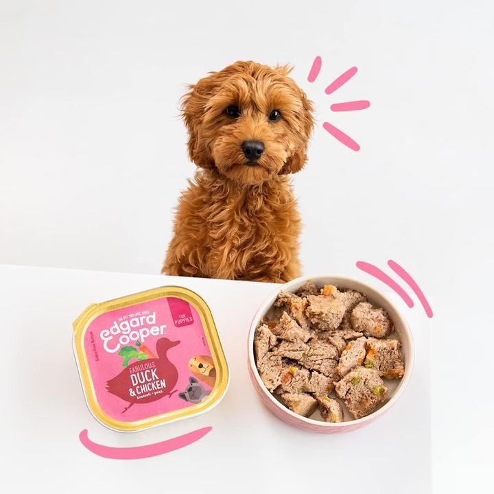 Produktbild Edgard & Cooper Hundefutter nass (Junior, 18 Stk., 5400 g)