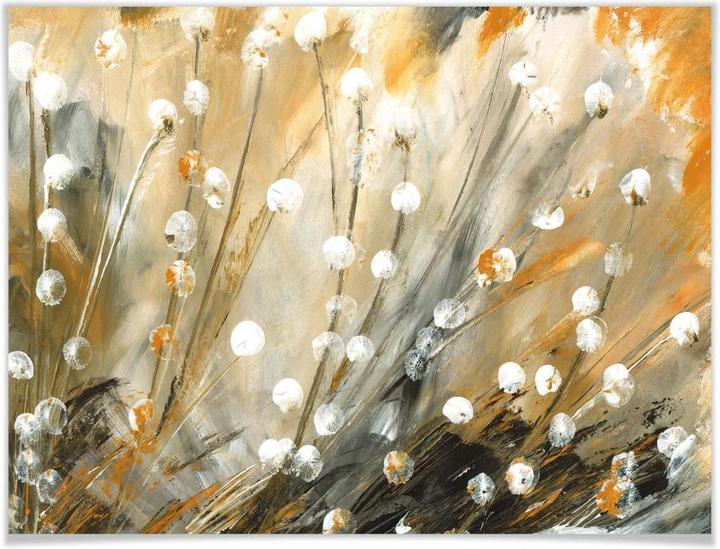 Produktbild Trenddeko Niksic - Pusteblumen (50 x 40 cm)