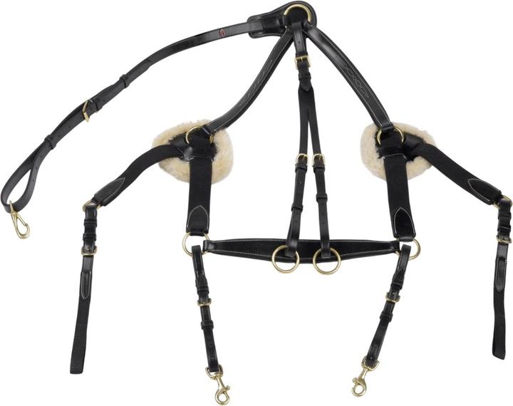 Image du produit - Martingale pour chevaux VALENCIA