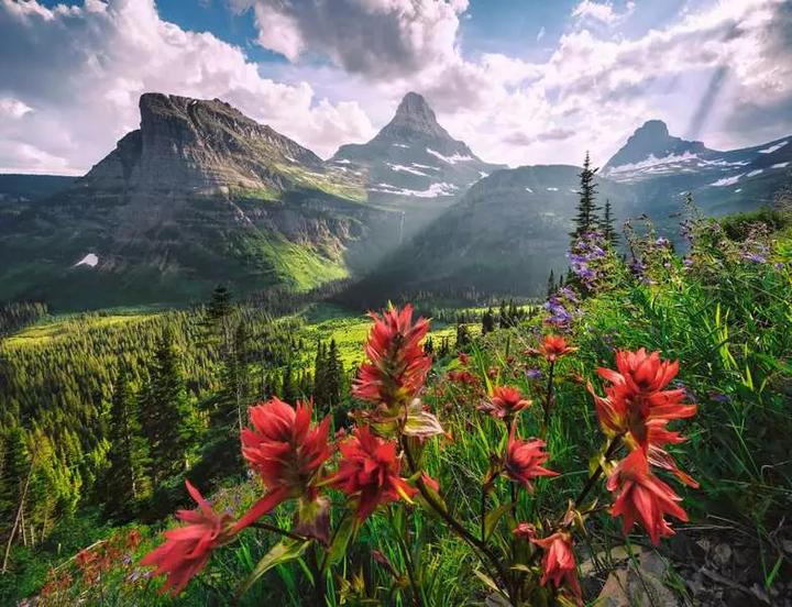 Actual product image Ravensburger Pristine Mountains (2000 pieces)