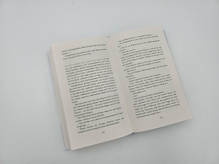 Produktbild Ein Vogel namens Schopenhauer (Deutsch, Tom Diesbrock, 2024)