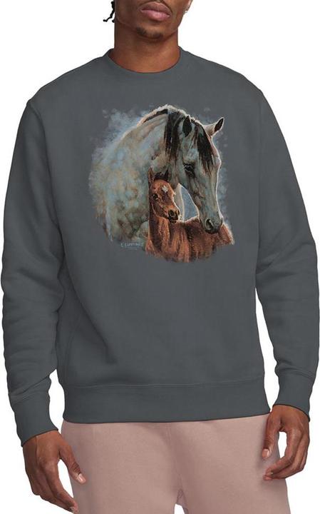 Produktbild Twin Peaks Wild Wings Sweatshirt (L)