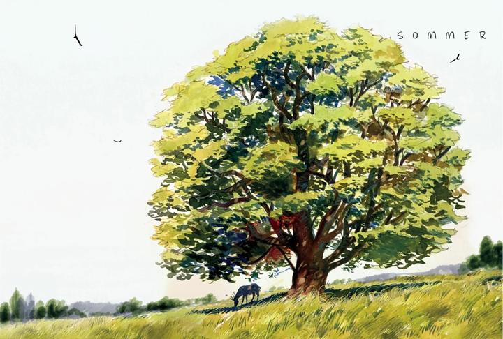 Actual product image Das geheime Leben der Bäume (German, Peter Wohlleben, 2023)