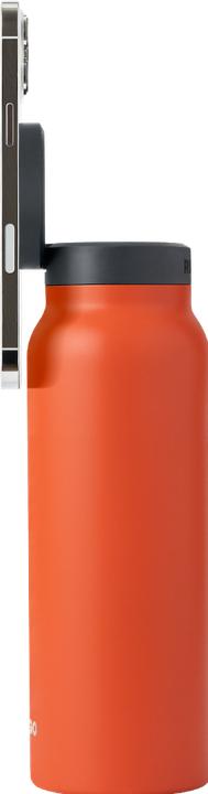 Immagine prodotto Ringo Regolare (0.71 l)