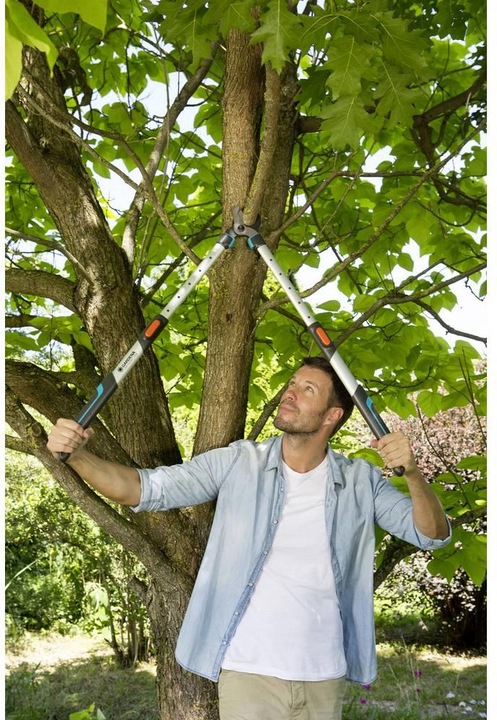 Image du produit Gardena Cisaille à branches longues TeleCut 650-900B