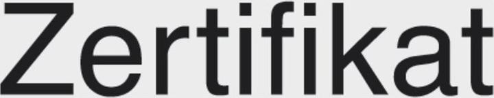 Actual product image Forum Professional Solutions Torque wrench 5- 25Nm 1/4" (1/4", 5 - 25 Nm)