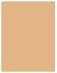 Actual product image Artdeco Rich Treatment (Rose)