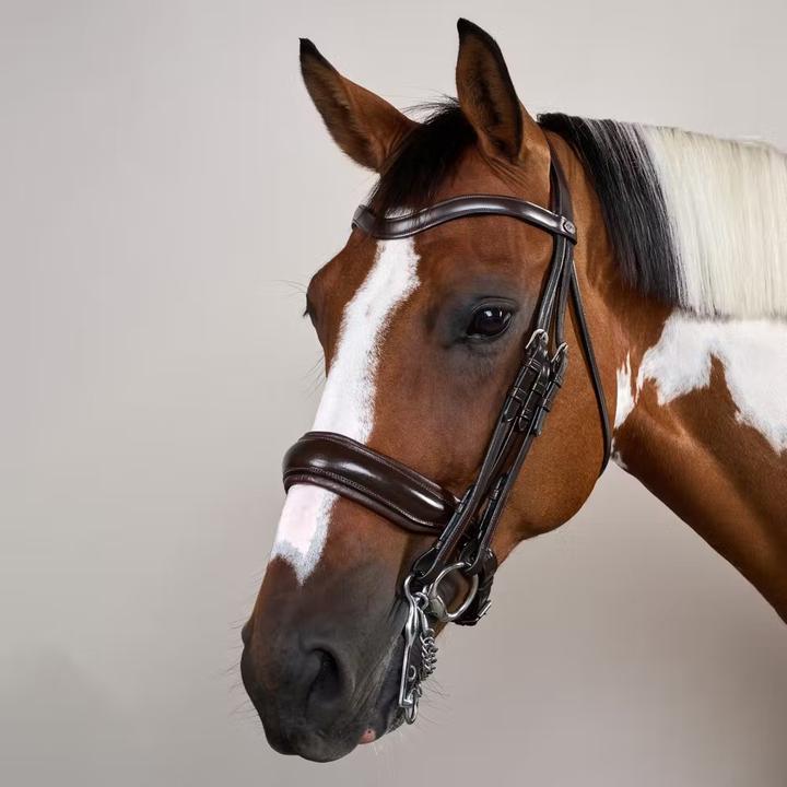 Actual product image Dy'on Working