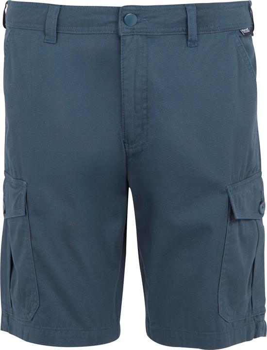 Actual product image Regatta Mens Ruwan Casual Shorts (46)