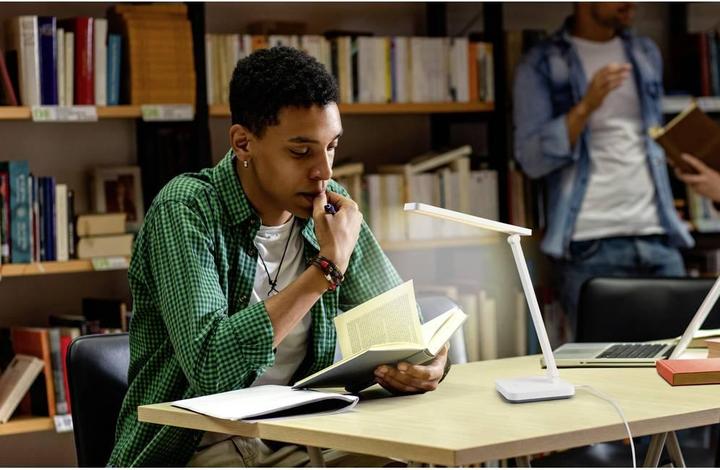 Actual product image Renkforce RF-5734672 LED-Tischlampe (700 lm)