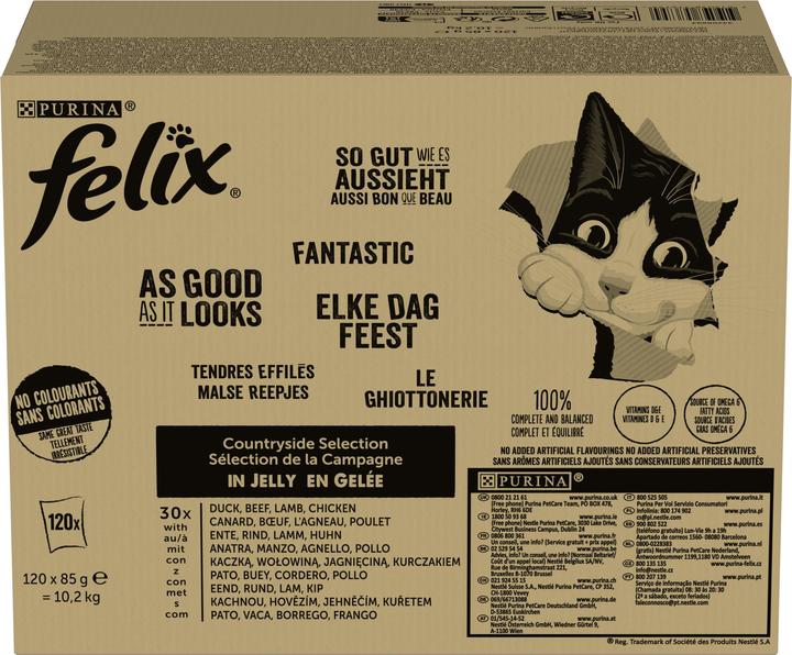 Felix So gut wie es aussieht (Adult, 120 Stk., 10200 g)