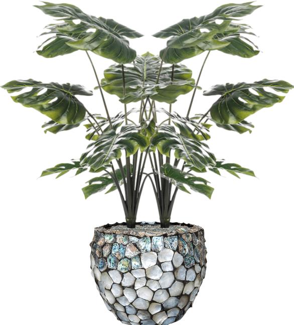 Image du produit Emerald Monstera-Pflanze (98 cm)