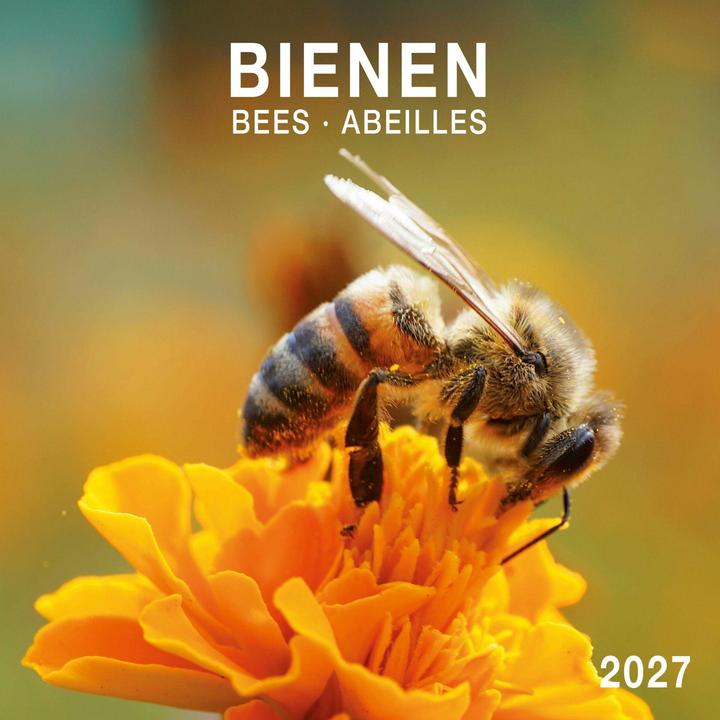 Produktbild Bienen/Bees2027