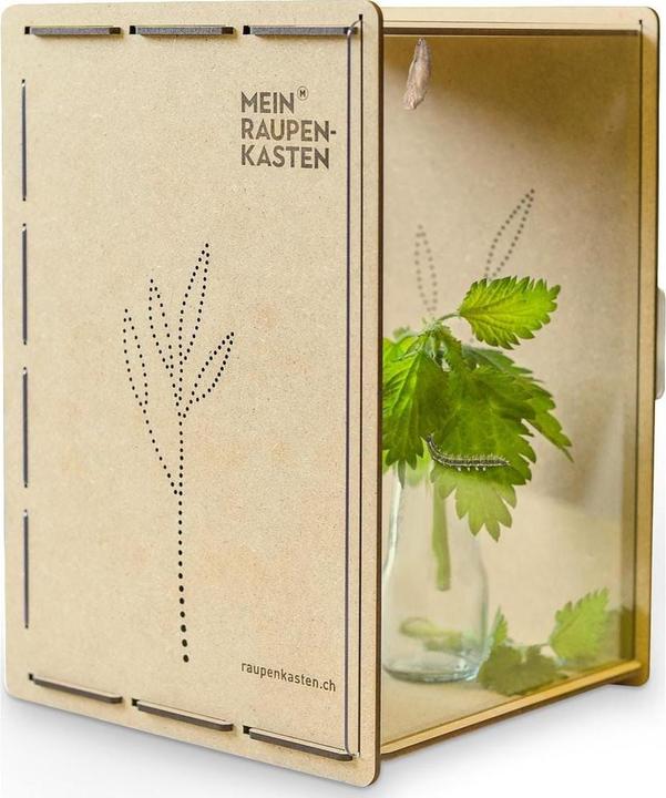 Immagine prodotto Mein Raupenkasten Insetto hotel caterpillar box (Farfalle)