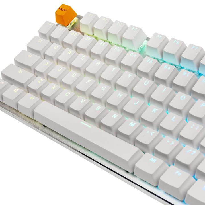 Actual product image Glorious PC Gaming Race PC Gaming Race GMMK Full Size White Ice Edition - Gateron-Brown, USA-Layout (USA, Cable)