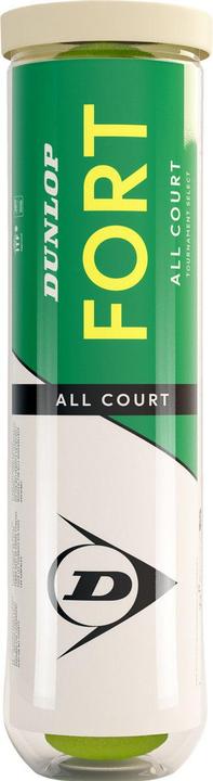 Actual product image Dunlop Fort All Court