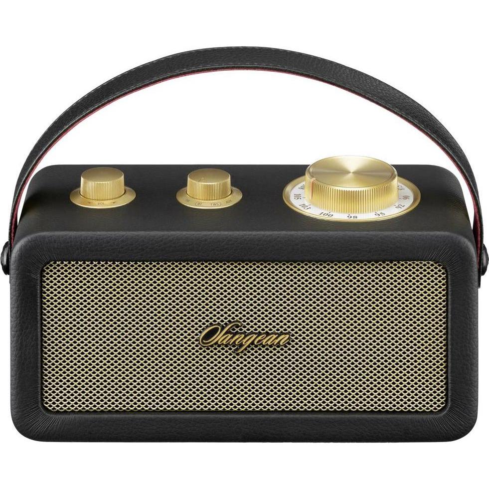 Sangean RA-101 Akku-Radio FM Bluetooth, AUX wiederaufladbar Schwarz, Gold (FM, Bluetooth), Radio, Schwarz, Gold