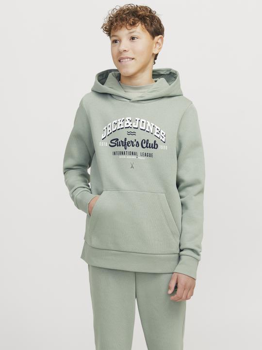 Immagine prodotto Jack & Jones JJELOGO SWEAT HOOD 2 COL 24/25 NOOS JNR (128)