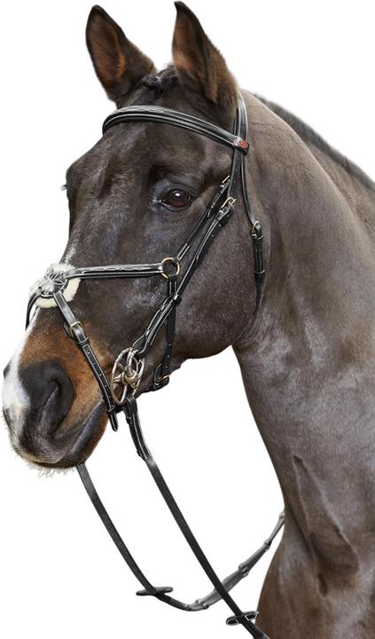 Image du produit - Martingale pour chevaux VALENCIA