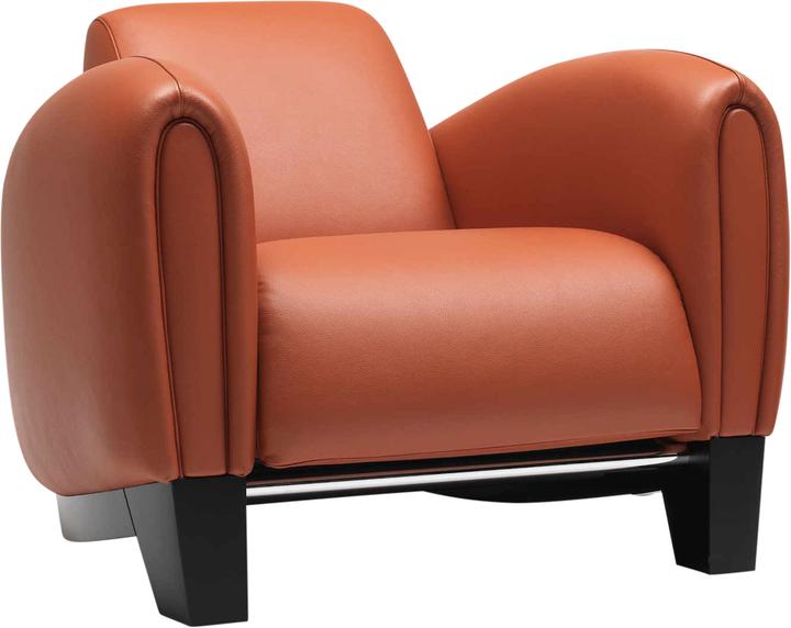 De Sede Ds-57/01 Sessel